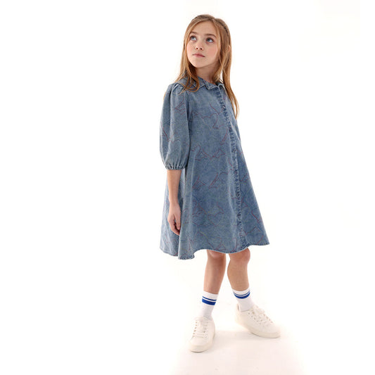 Embroidered Denim Dress