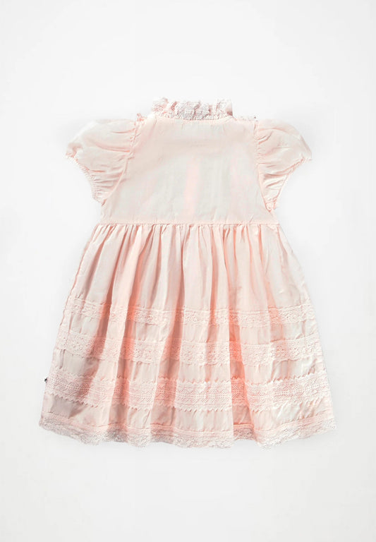 Carnation Cloud Pink