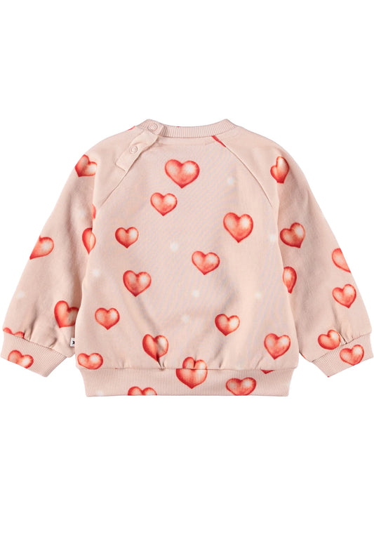 Disc Sweatshirt Airbrush Hearts