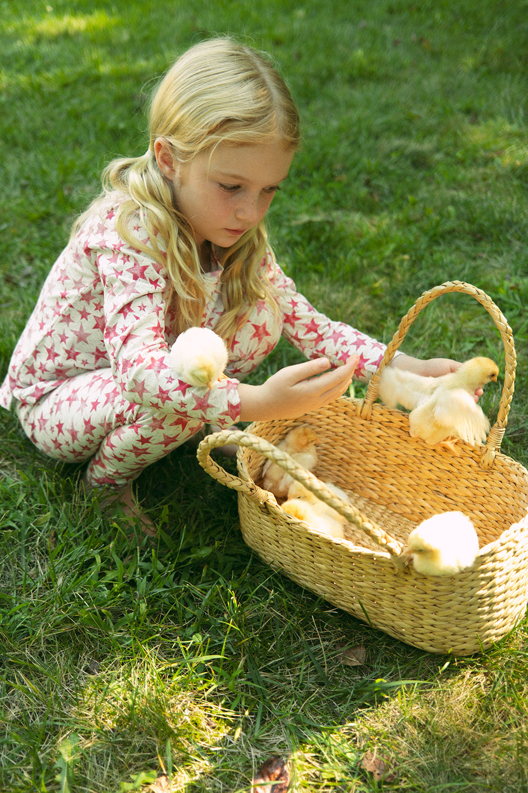 Pink Sienna Star Set