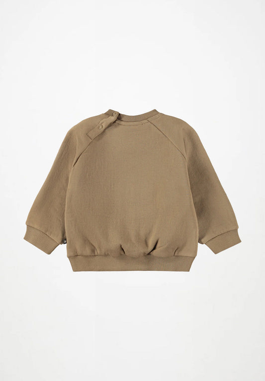 Disc Sweatshirt- Elmwood