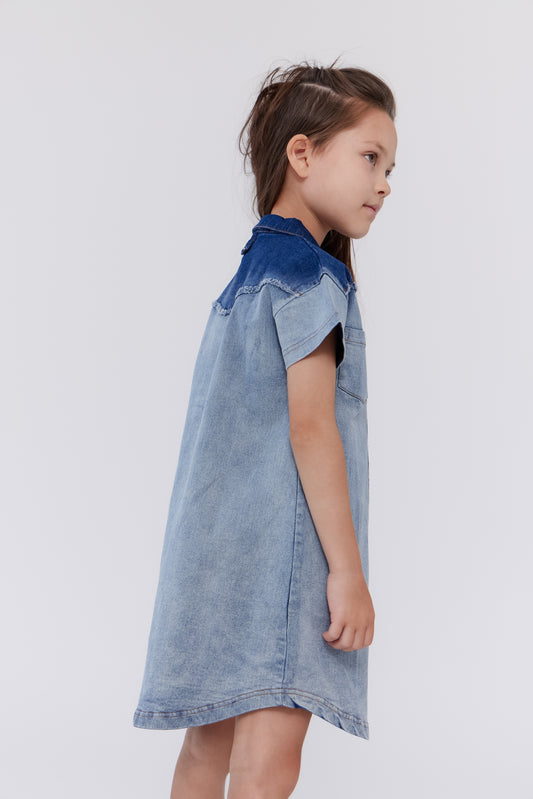 Blue Denim Two-Tone Dress