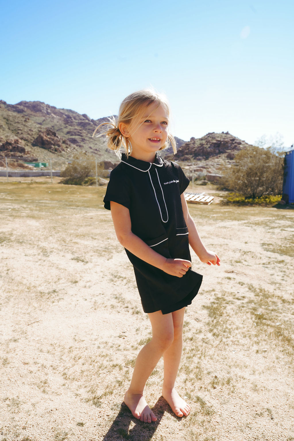 Short Silk Shirt Dress