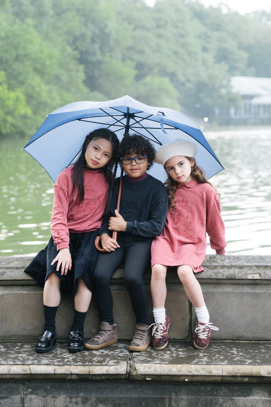 Emblem Sweatshirt Dress Mineral Red