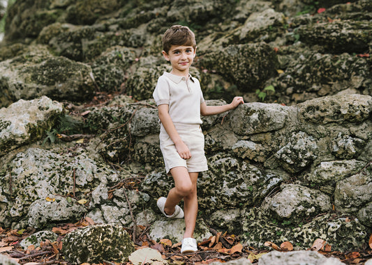 KNIT POLO SHORT SLEEVE- TAUPE STRIPE