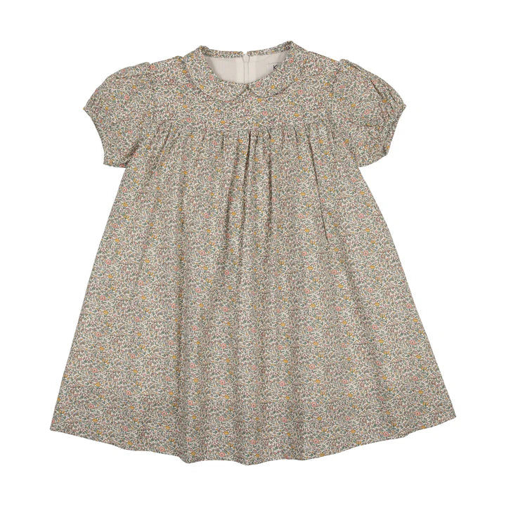Peter pan collar short sleeve dress floral print