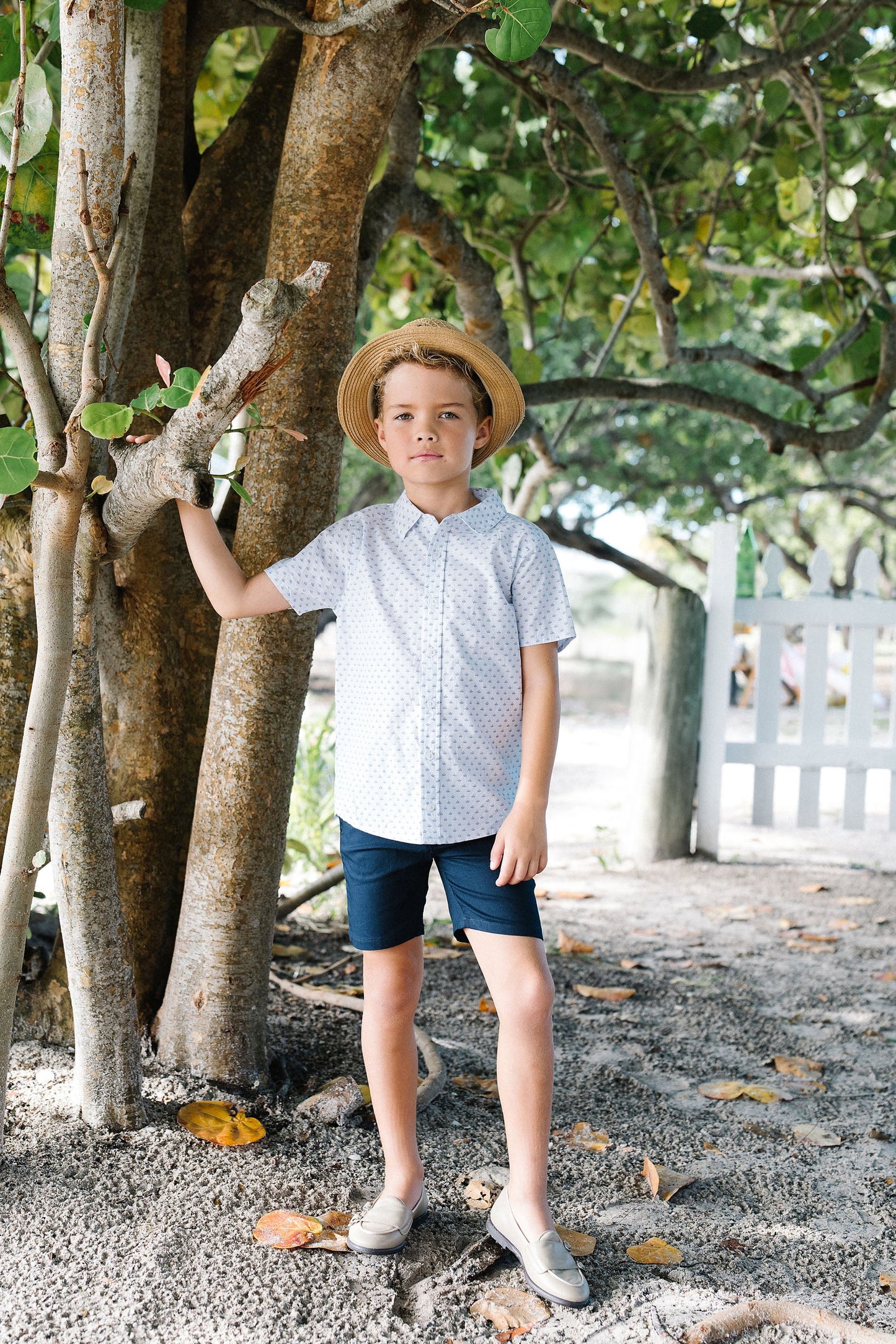 Dress Shorts- Navy