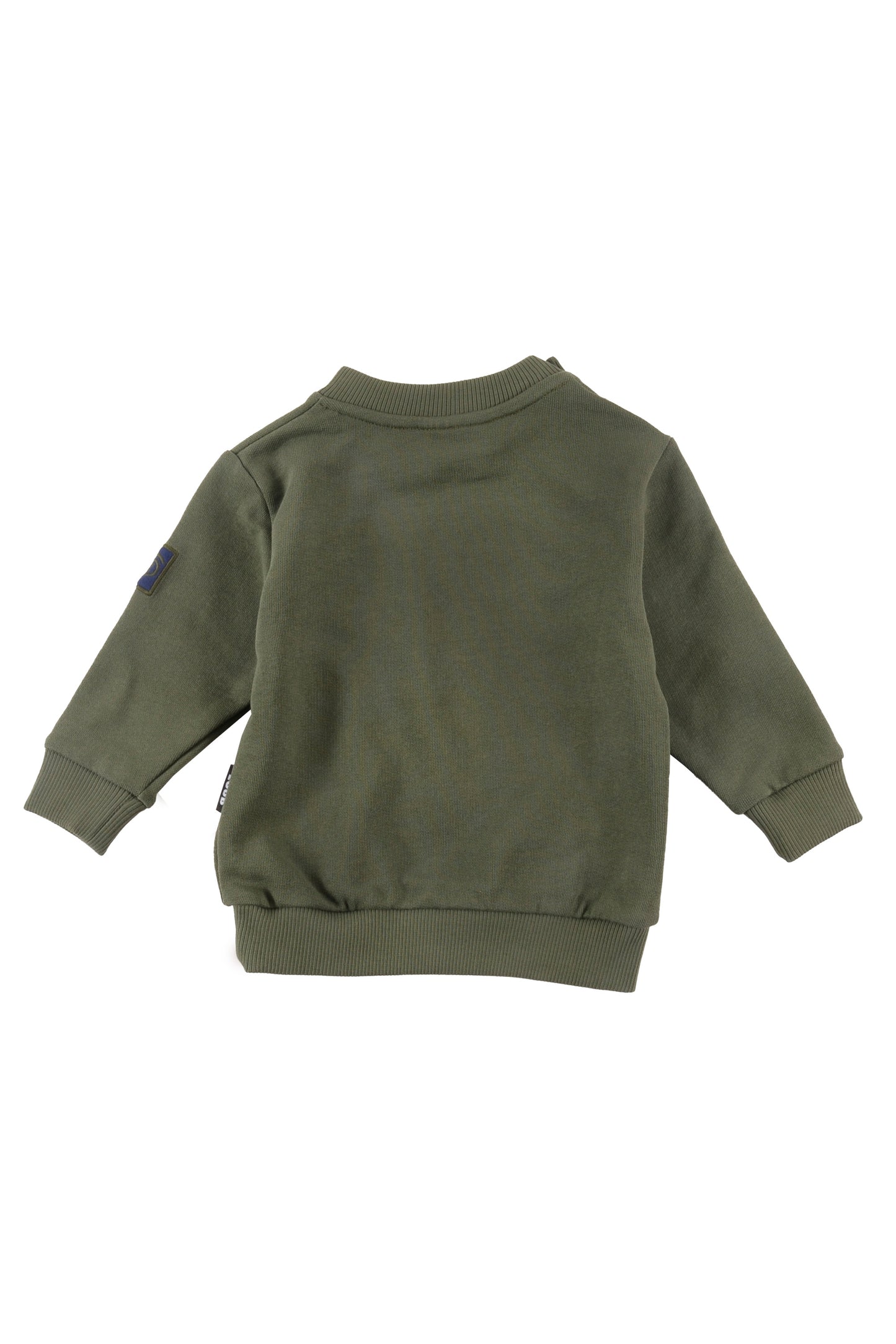 Green Regular Fit Sweater and Leggings