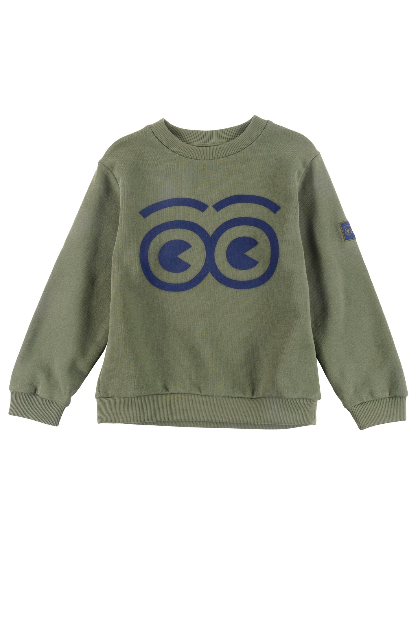 FAMILY - Green Regular Fit Sweater