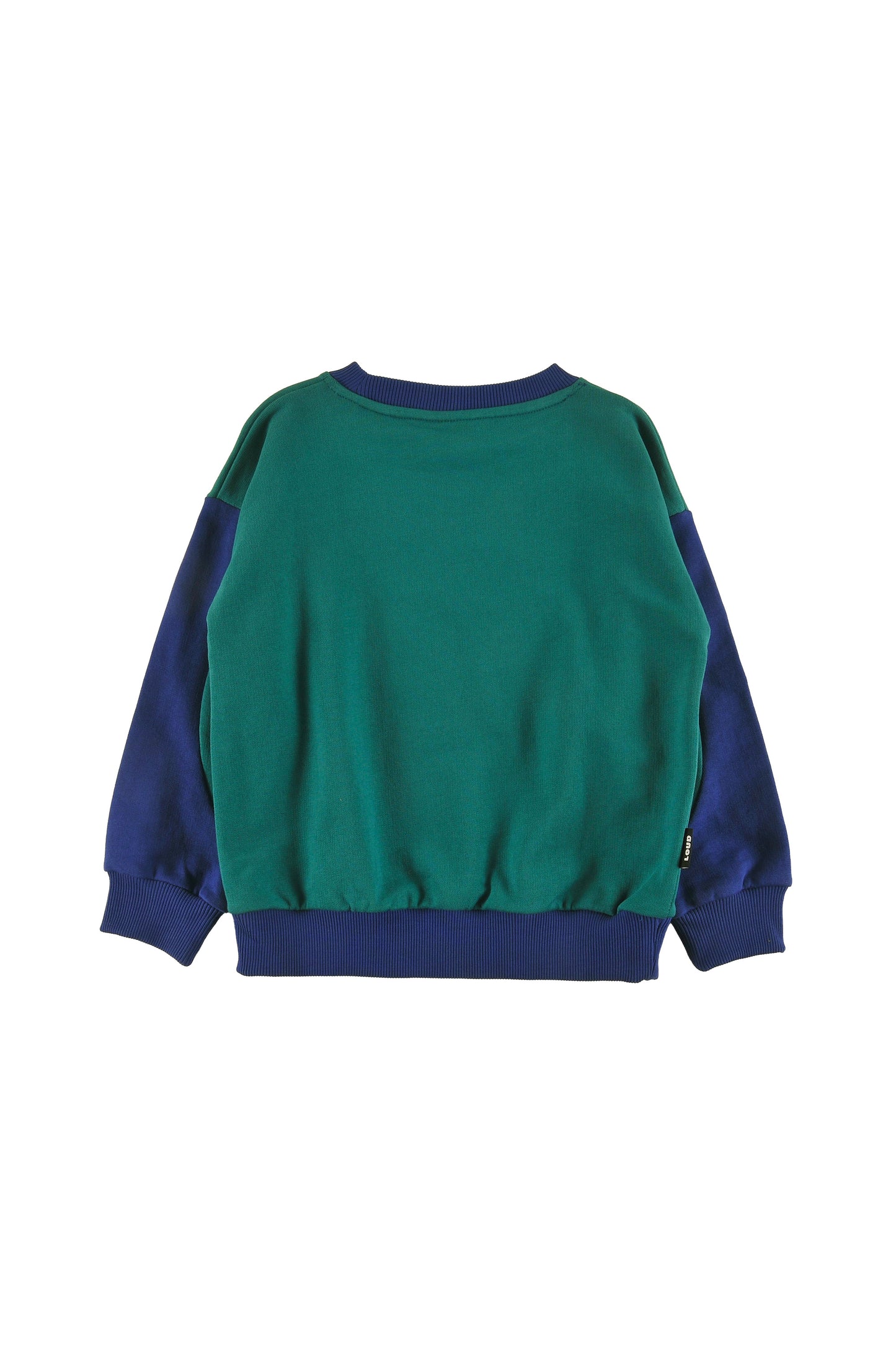 Sleigh Green, Navy Sweater