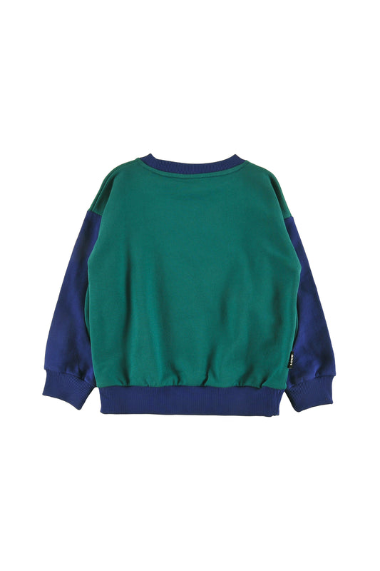 Sleigh Green, Navy Sweater
