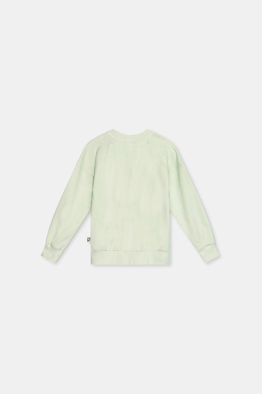 Fleece sweatshirt Green