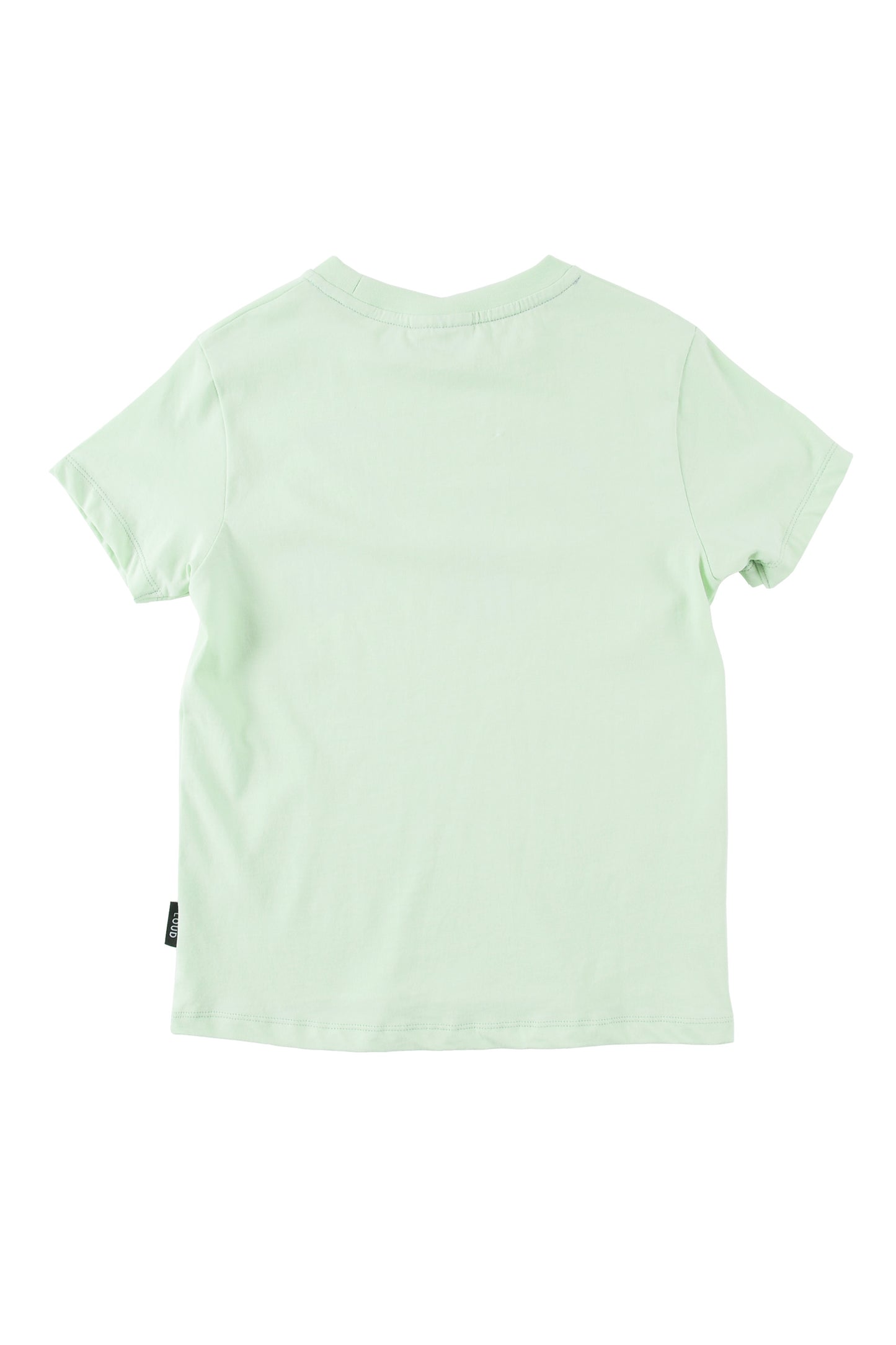 BEGINNING Regular fit Pastel Green T-shirt