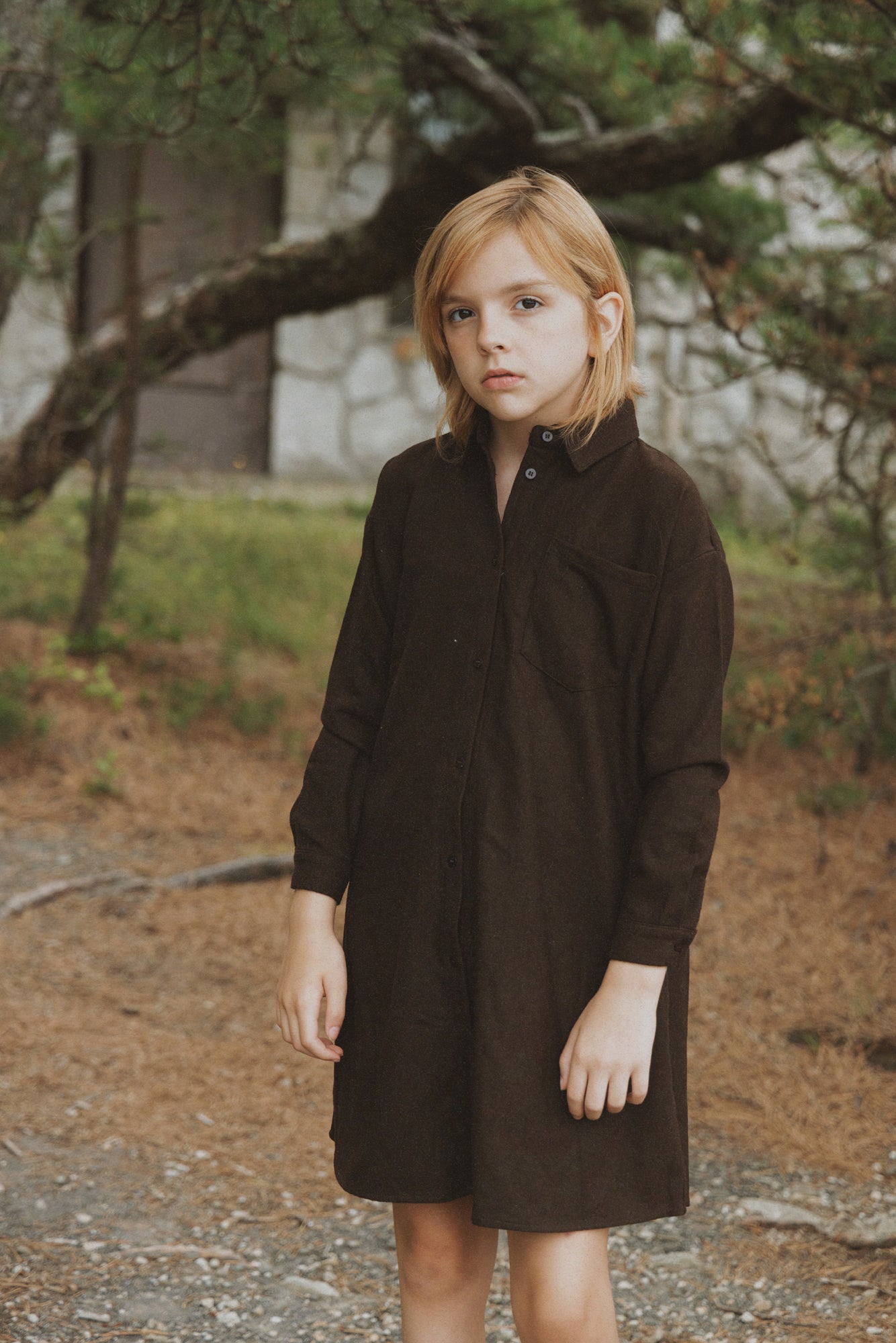 Shirt Dress Brown