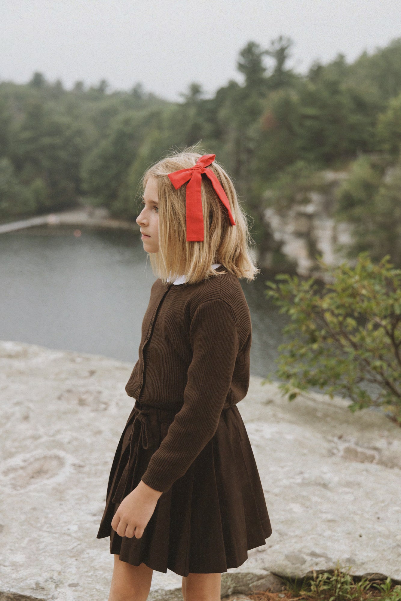 Pleated Skirt Brown