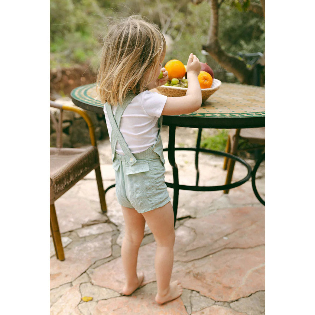 Fern Gingham V Button Romper