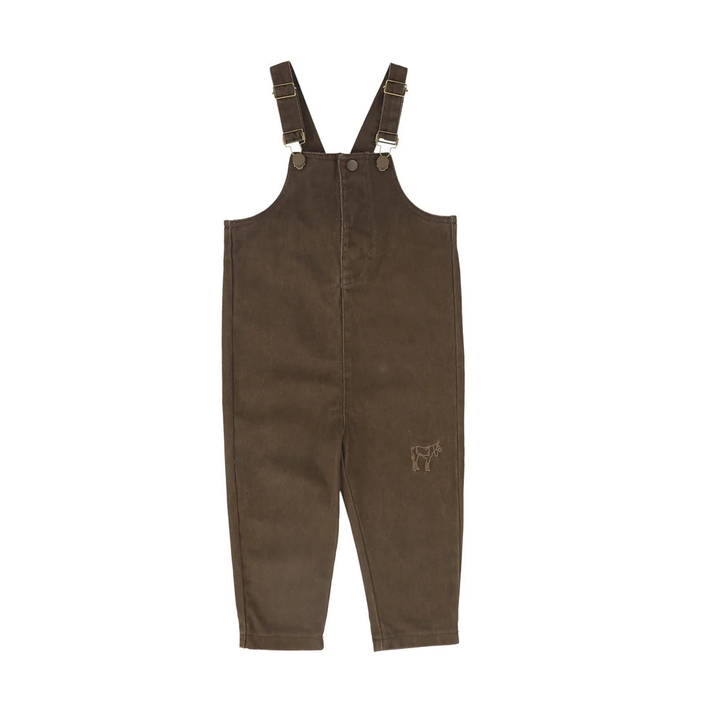 Denim Embroidered Overalls