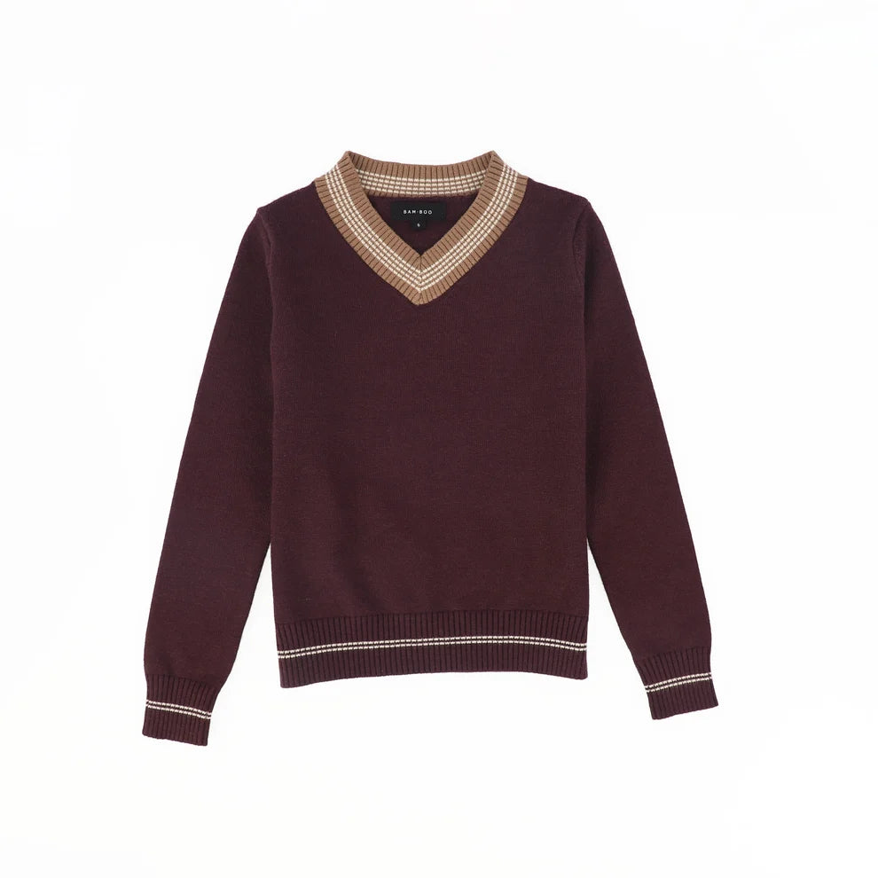 Stripe Trim V-Neck Sweater