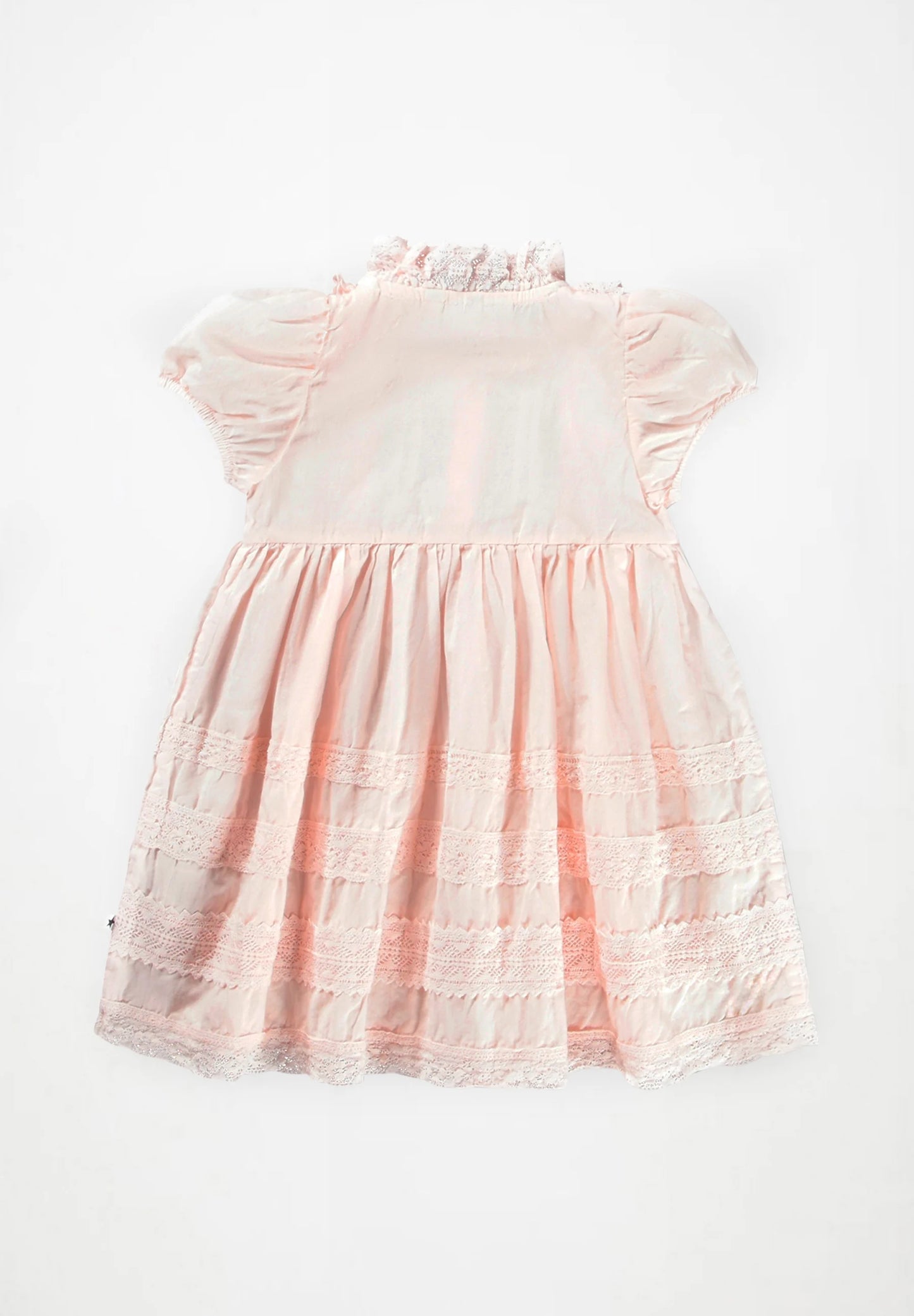 Carnation Cloud Pink