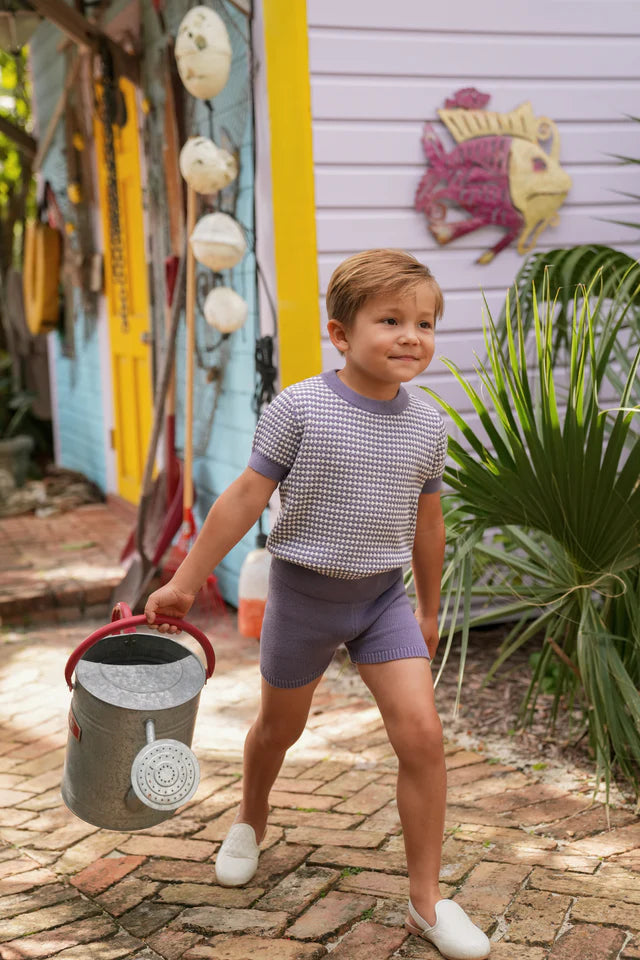 Lavender Saul SS Sweater