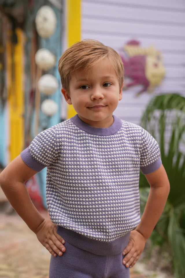 Lavender Saul SS Sweater