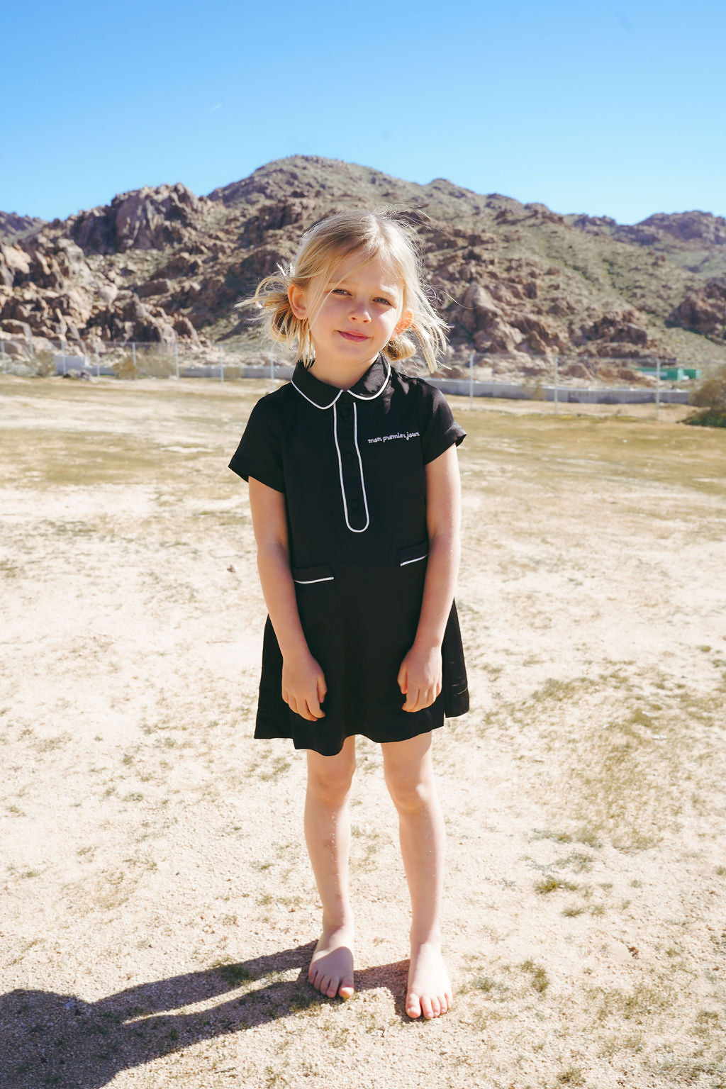 Short Silk Shirt Dress