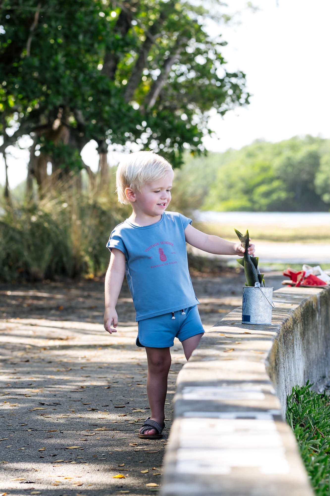 Boys Shorts- Blue