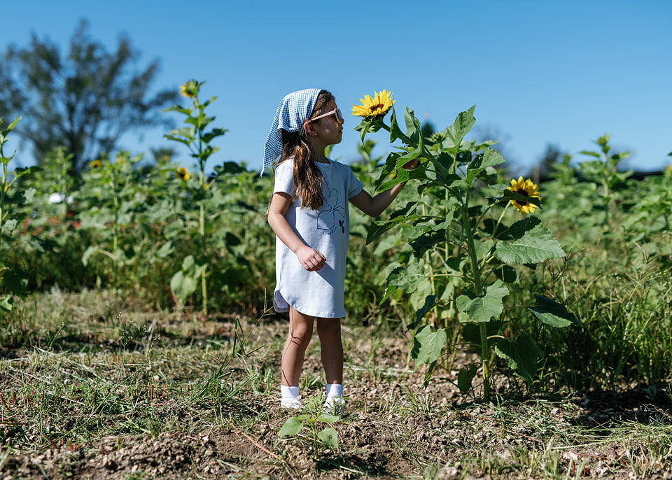 Radish Dress Pale Blue