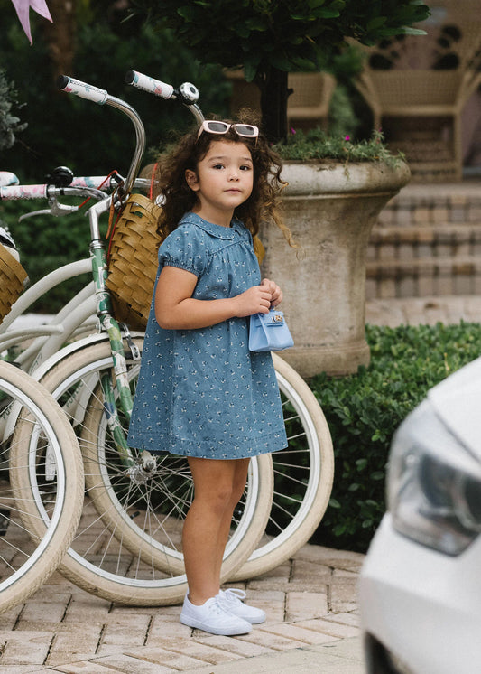 Dainty Denim Short Sleeve Dress