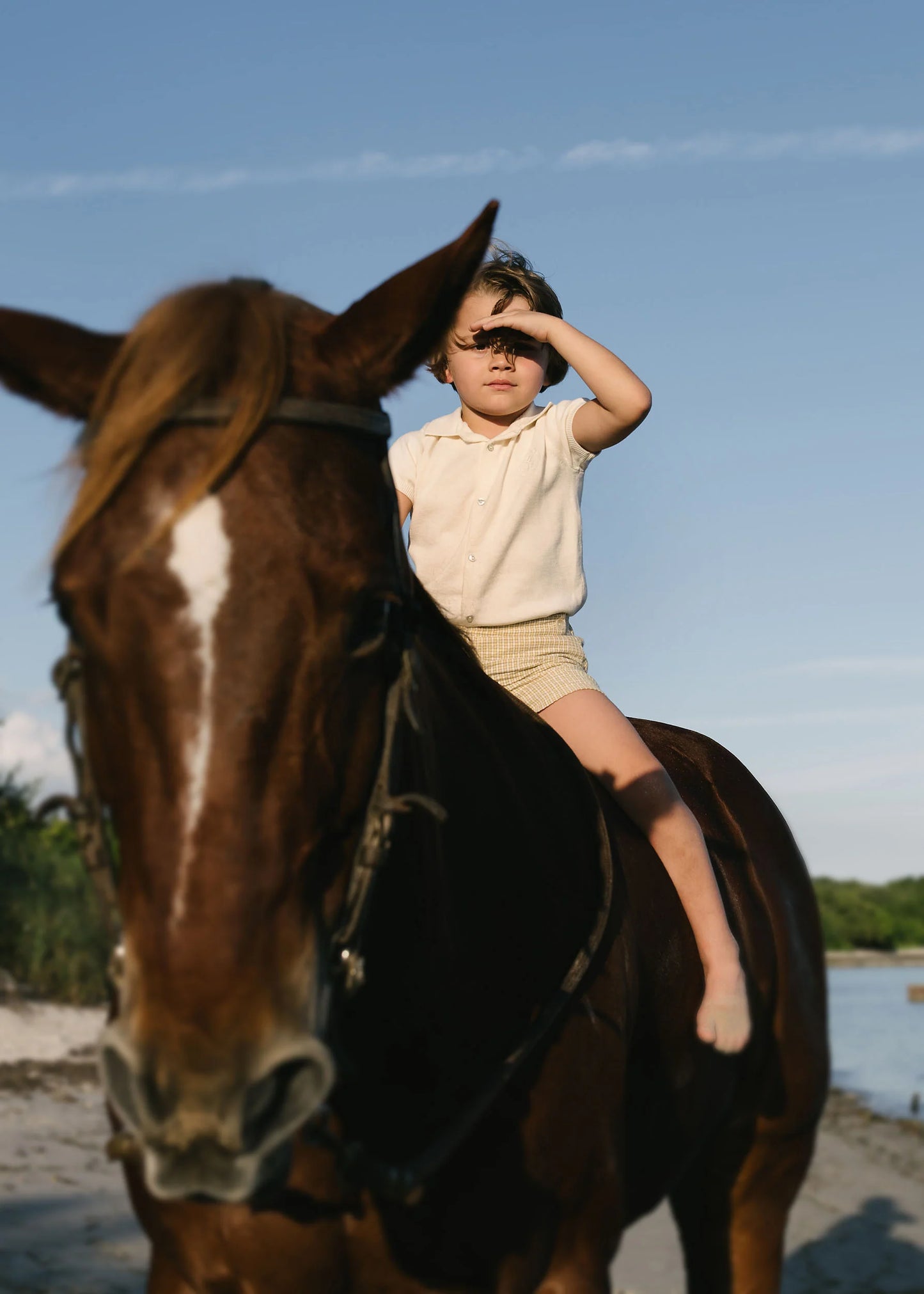 Sunny Blossoms Shorts