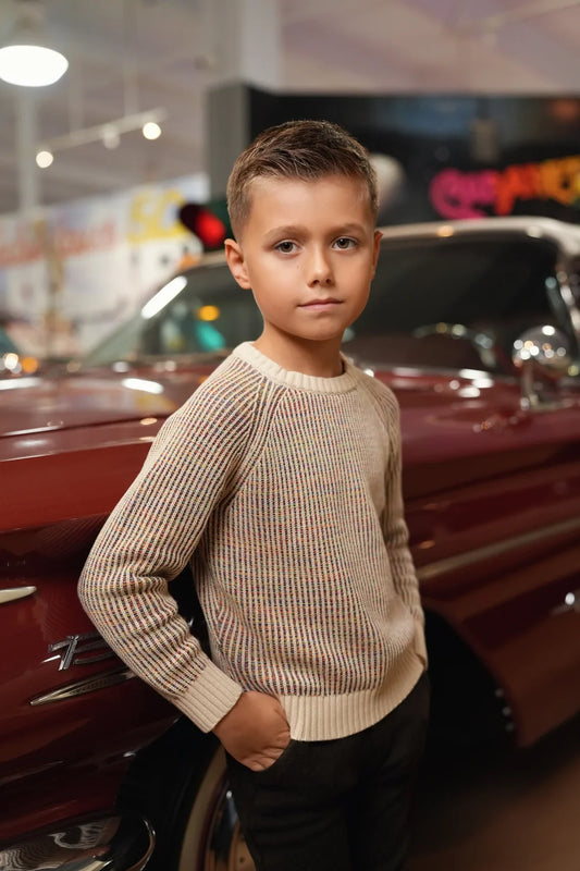 Arthur Cocoa Multi Sweater
