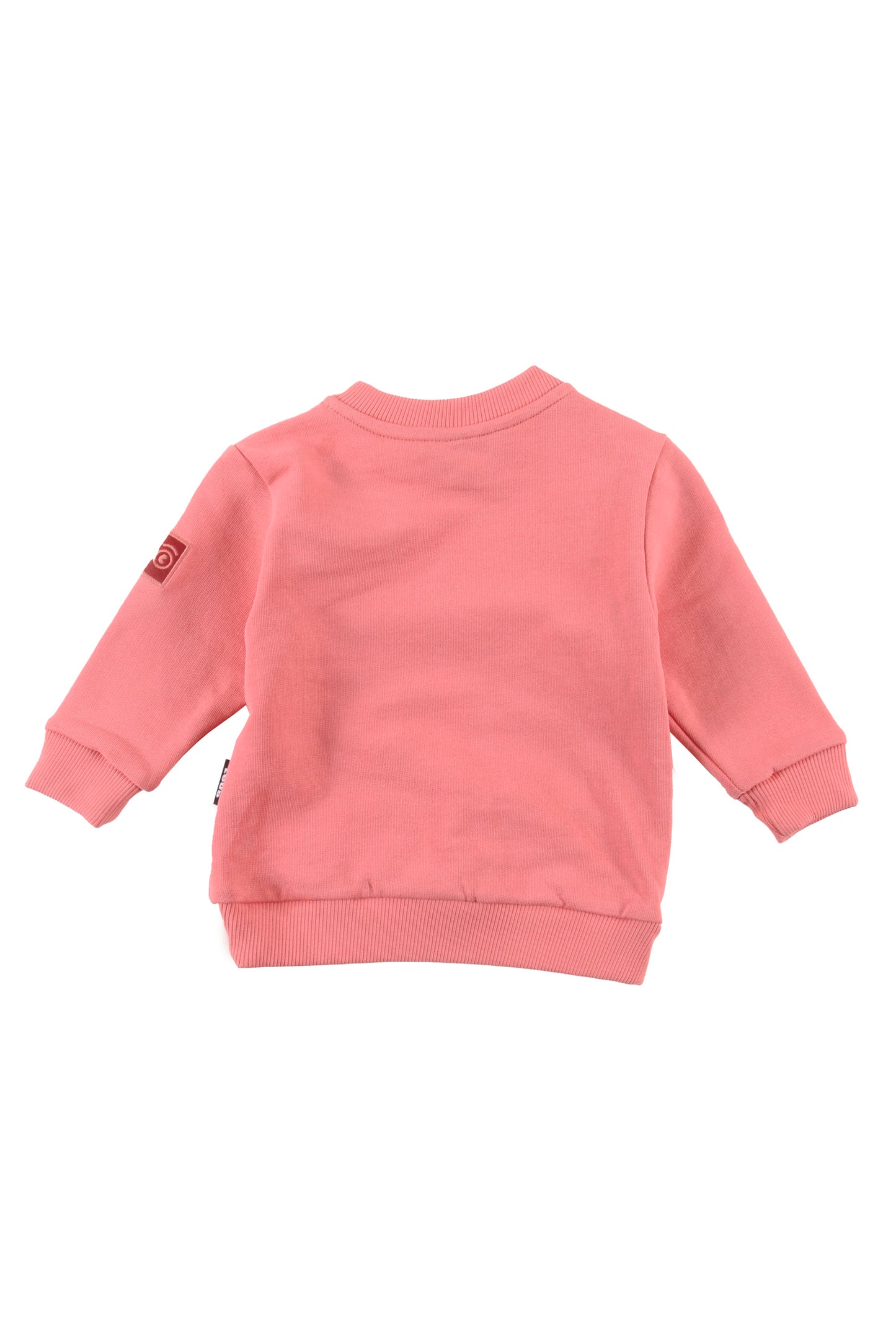 Raspberry Regular Fit Sweater and Leggings