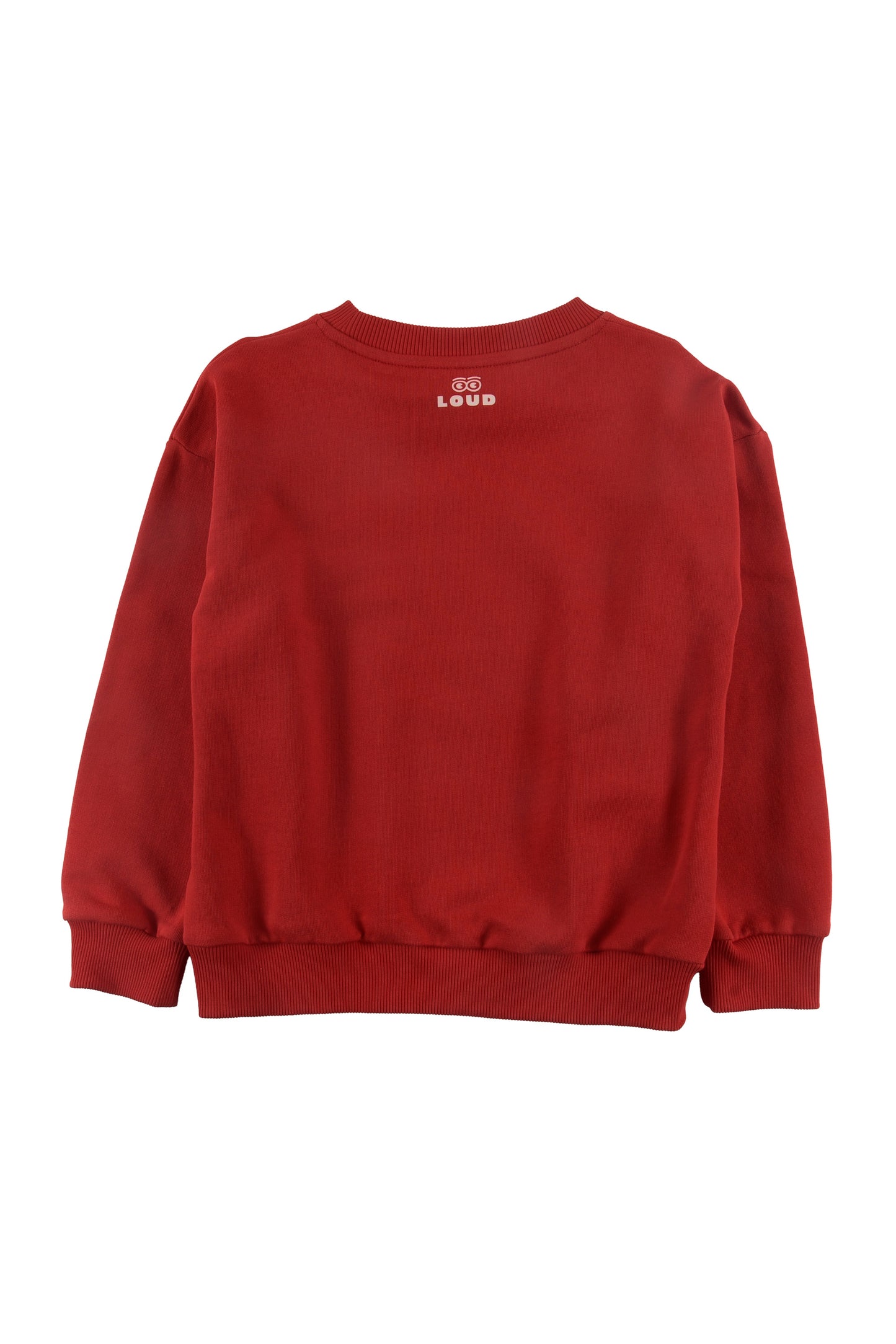 UJ05 LUIGI Red Sweater