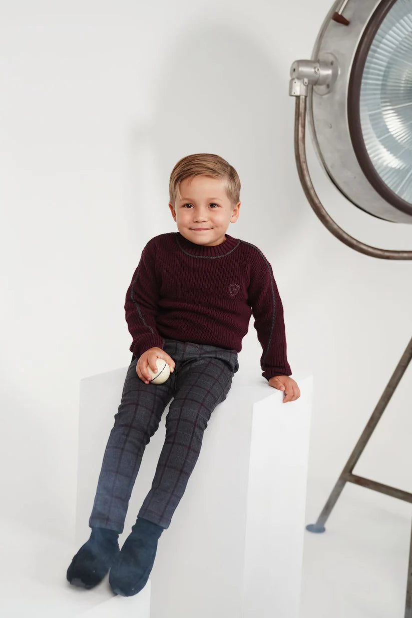 Wine Crewneck Piped Sweater