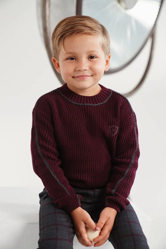 Wine Crewneck Piped Sweater