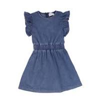 Ruffle Sleeve Denim Dress