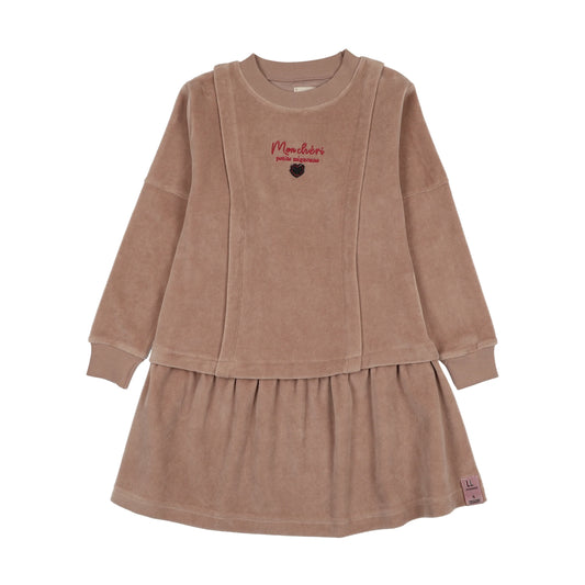 Dried Rose Velour Dress
