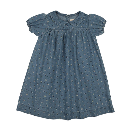 Dainty Denim Short Sleeve Dress