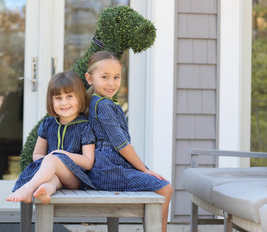 Denim Pin Stripe Short Sleeve Dress